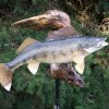 walleye