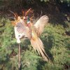 Pheasant